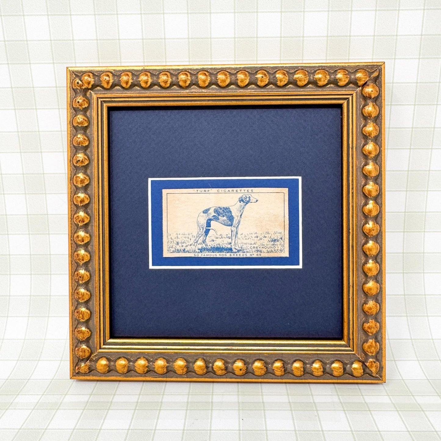 Framed Vintage Dog Cigarette Card c. 1952, Greyhound
