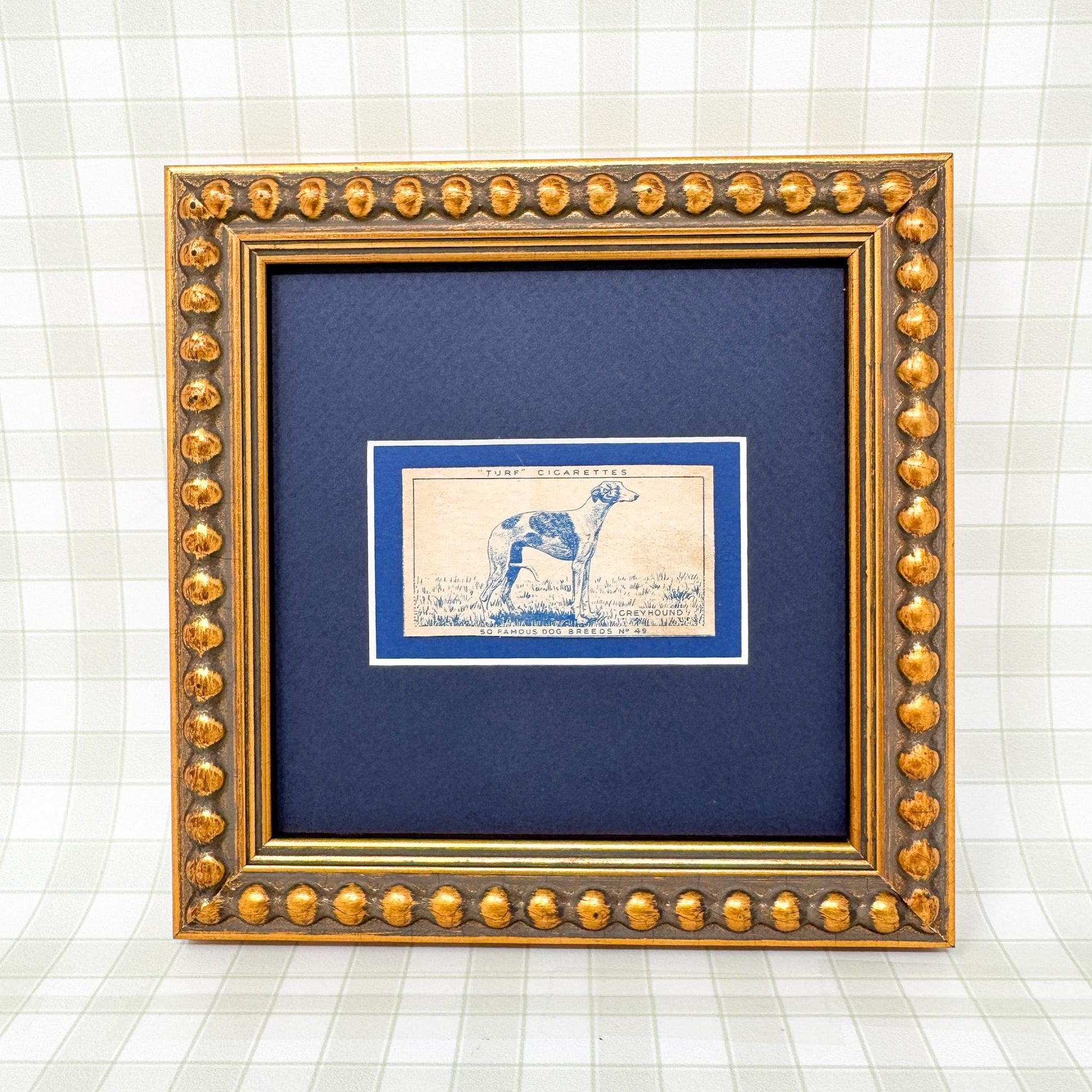 Framed Vintage Dog Cigarette Card c. 1952, Greyhound