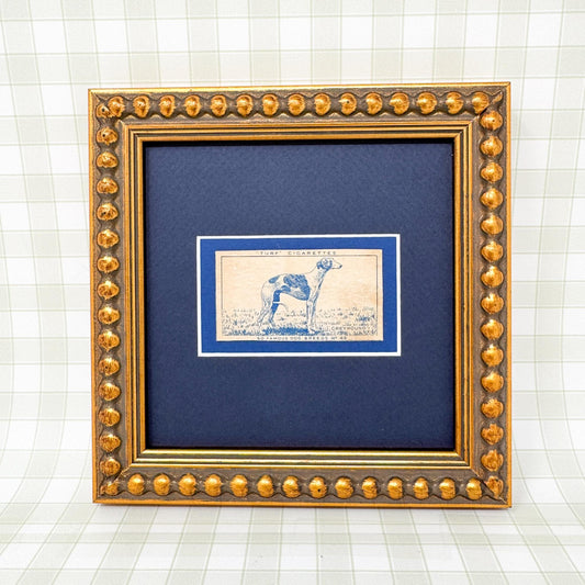 Framed Vintage Dog Cigarette Card c. 1952, Greyhound