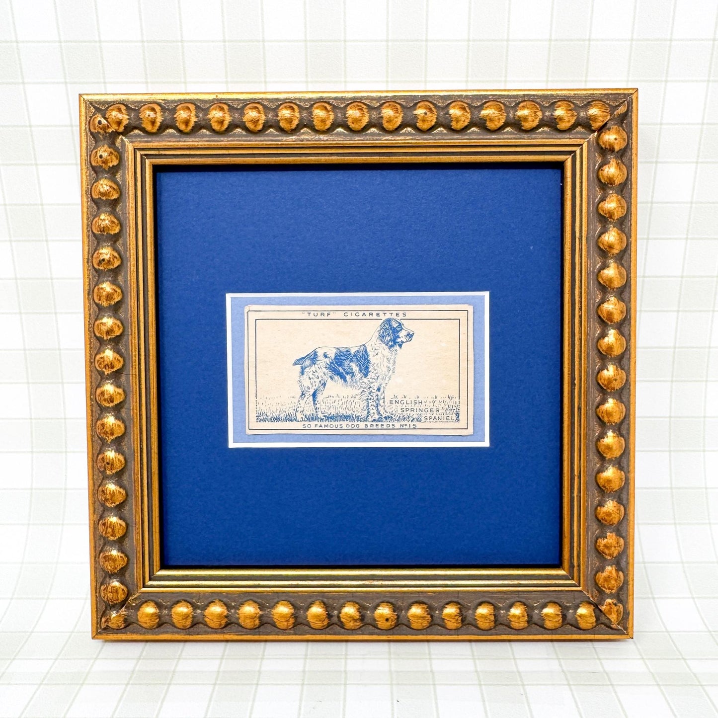Framed Vintage Dog Cigarette Card c. 1952, English Springer Spaniel