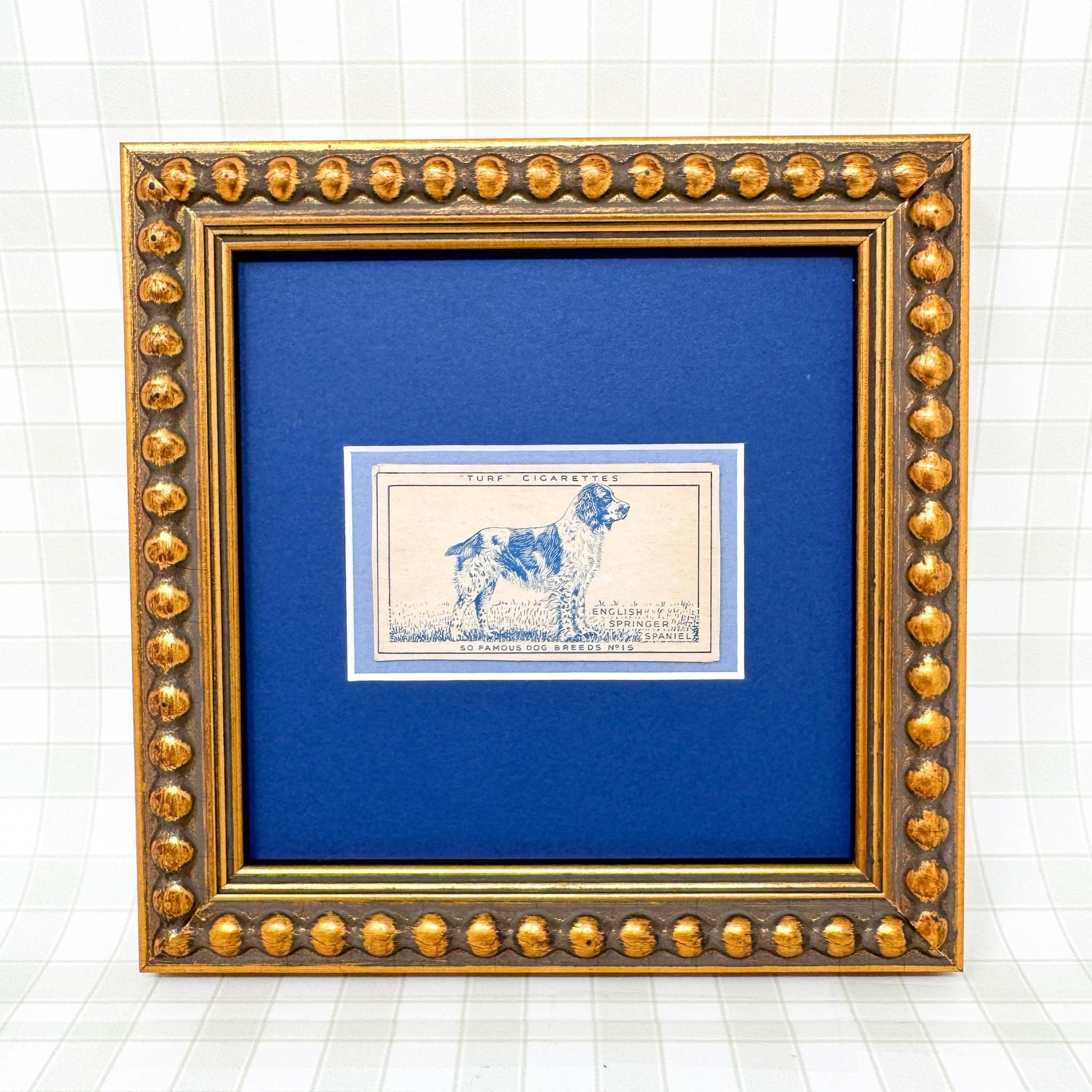 Framed Vintage Dog Cigarette Card c. 1952, English Springer Spaniel