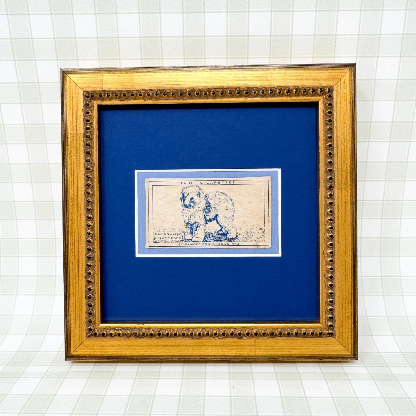 Framed Vintage Dog Cigarette Card c. 1952, Old English Sheep Dog