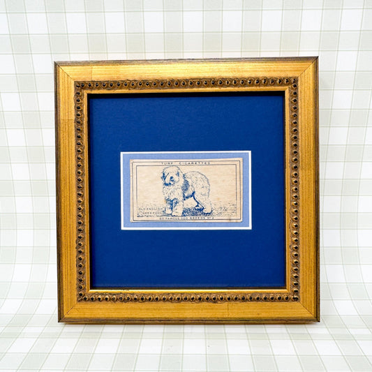 Framed Vintage Dog Cigarette Card c. 1952, Old English Sheep Dog