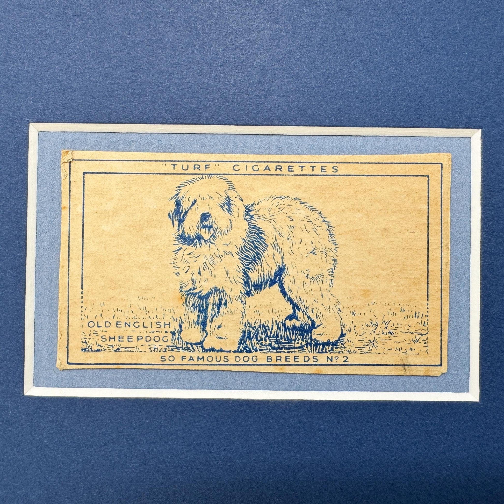 Framed Vintage Dog Cigarette Card c. 1952, Old English Sheep Dog
