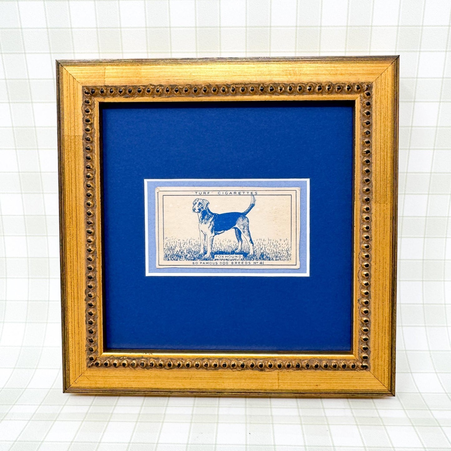 Framed Vintage Dog Cigarette Card c. 1952, Foxhound