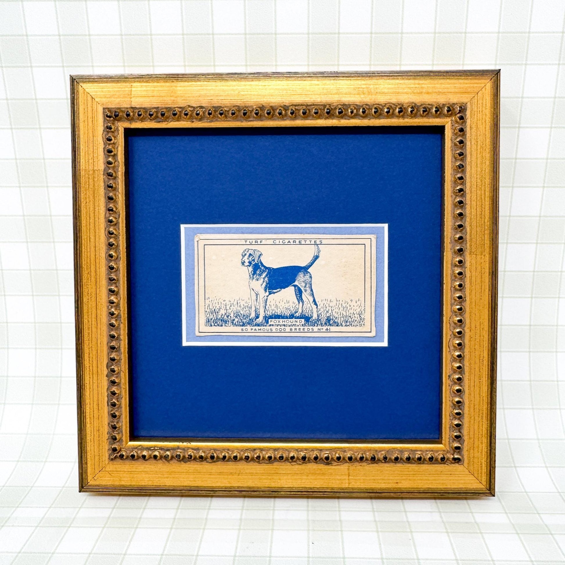 Framed Vintage Dog Cigarette Card c. 1952, Foxhound