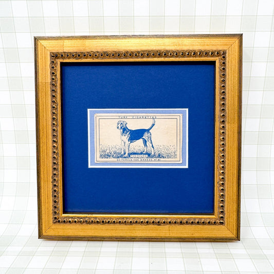 Framed Vintage Dog Cigarette Card c. 1952, Foxhound