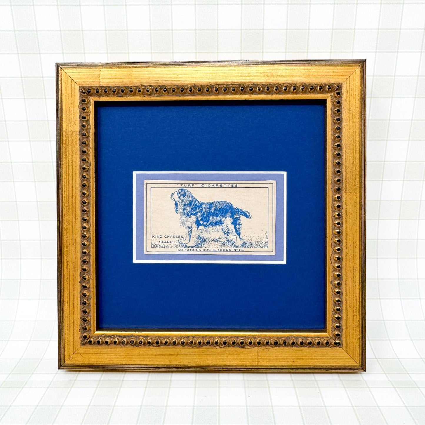 Framed Vintage Dog Cigarette Card c. 1952, King Charles Cavalier Spaniel