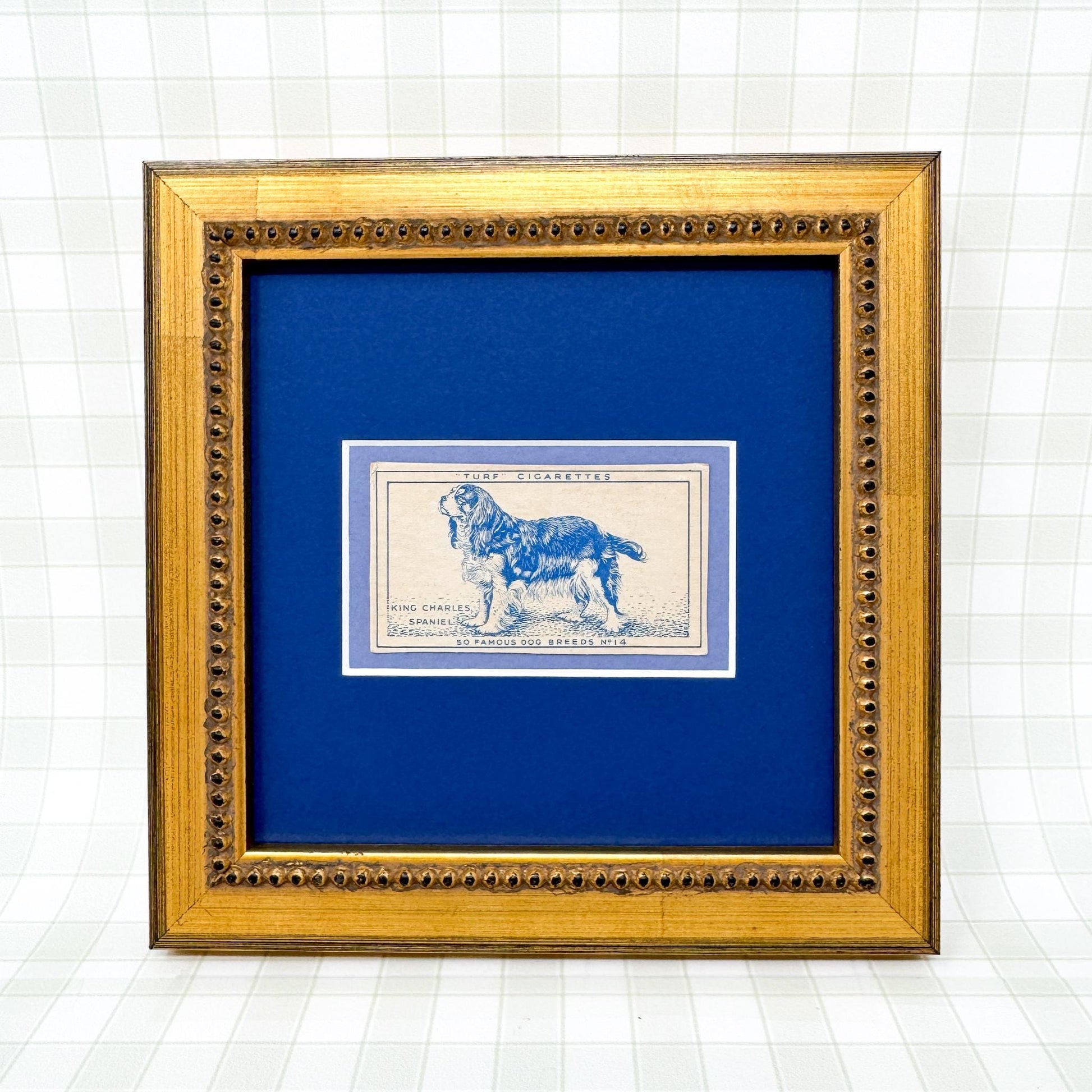 Framed Vintage Dog Cigarette Card c. 1952, King Charles Cavalier Spaniel