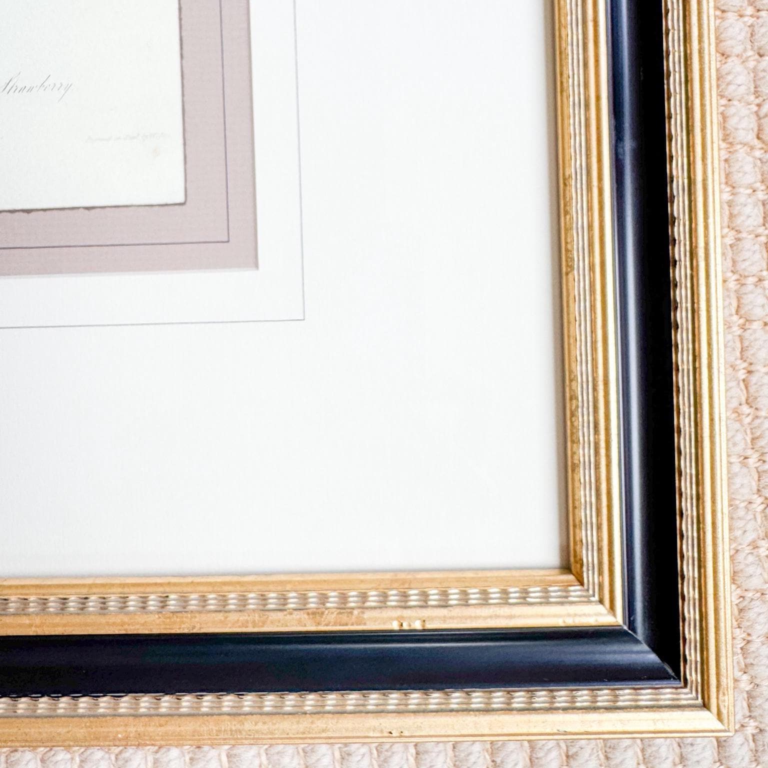 Framed Vintage Strawberry Lithograph, Wilmot's Superb Strawberry