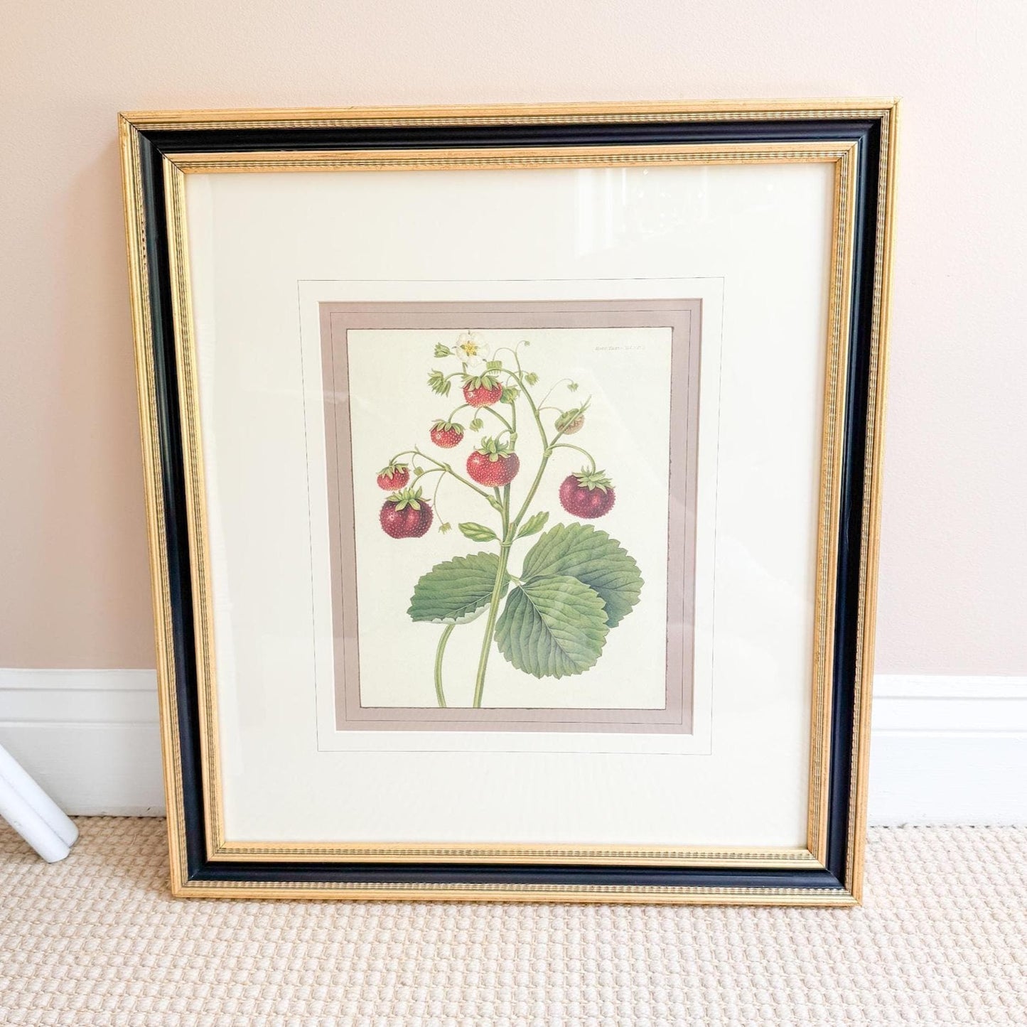 Framed Vintage Strawberry Lithograph, The Wild Strawberry