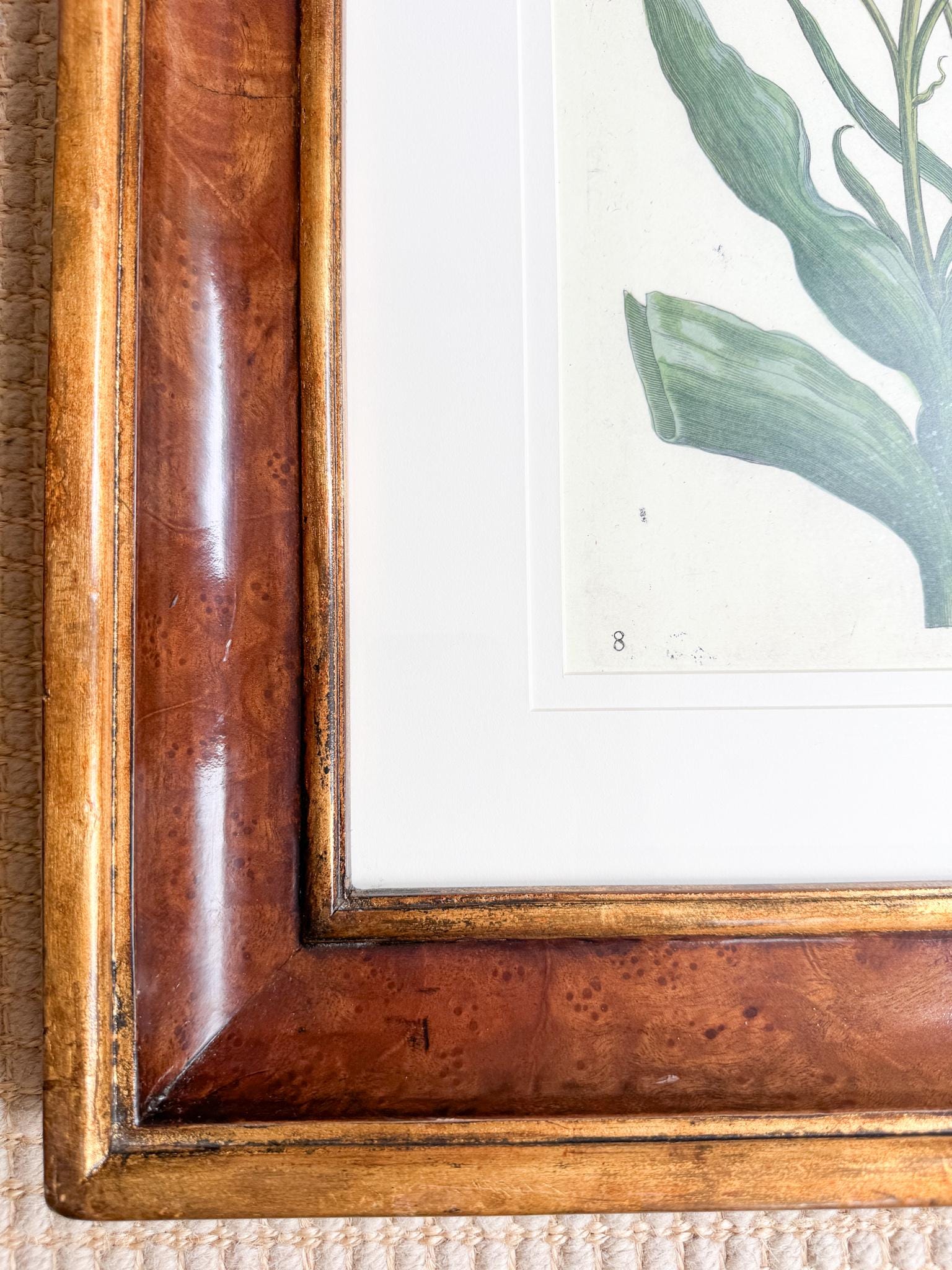 Framed Antique Floral Lithograph, c. 1800's, Red Tulips