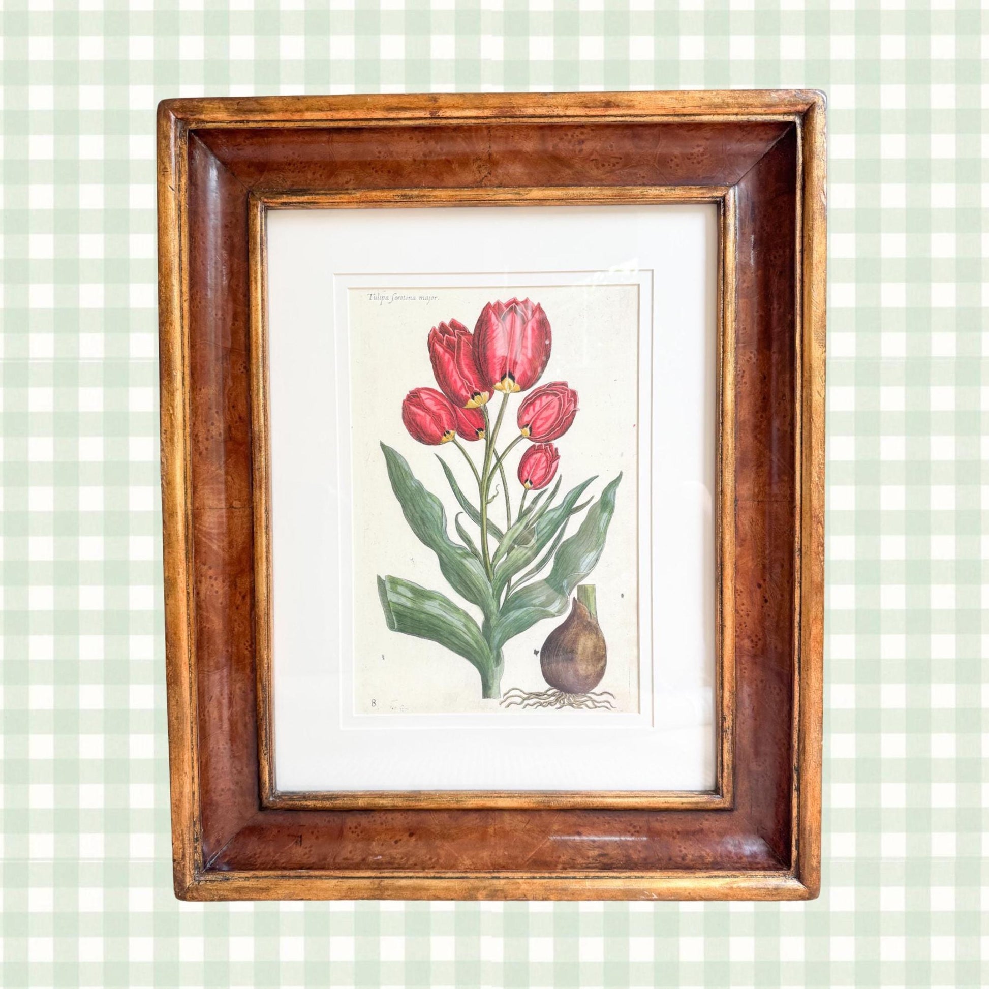 Framed Antique Floral Lithograph, c. 1800's, Red Tulips