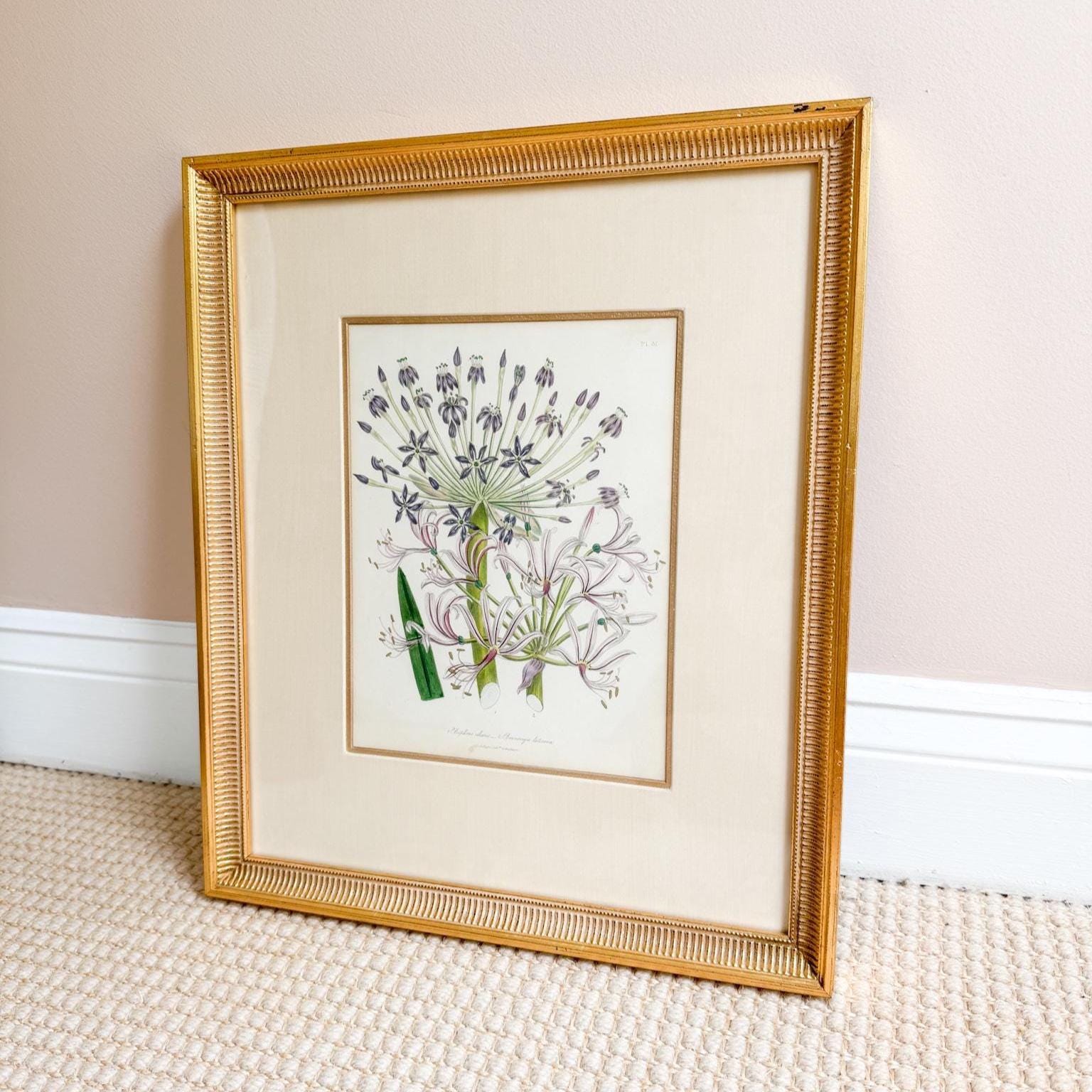 Framed Antique Floral Lithograph, c. 1840, Lady Loudon Flowers