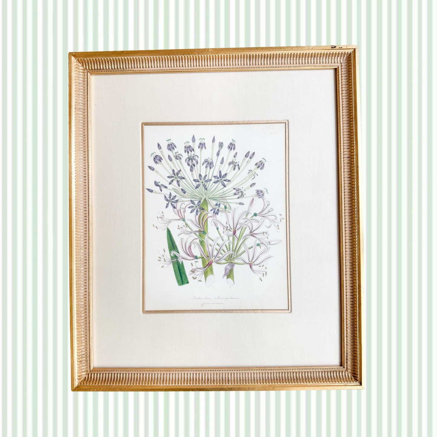 Framed Antique Floral Lithograph, c. 1840, Lady Loudon Flowers