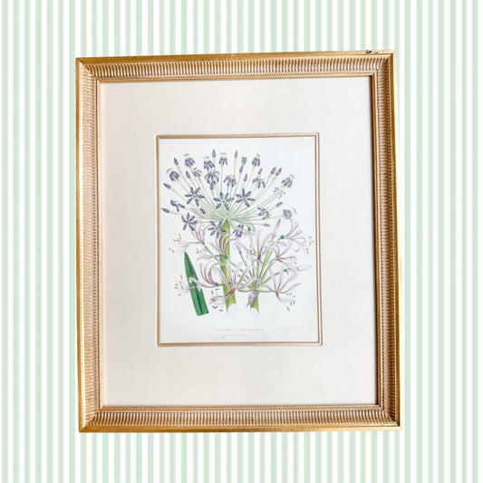 Framed Antique Floral Lithograph, c. 1840, Lady Loudon Flowers