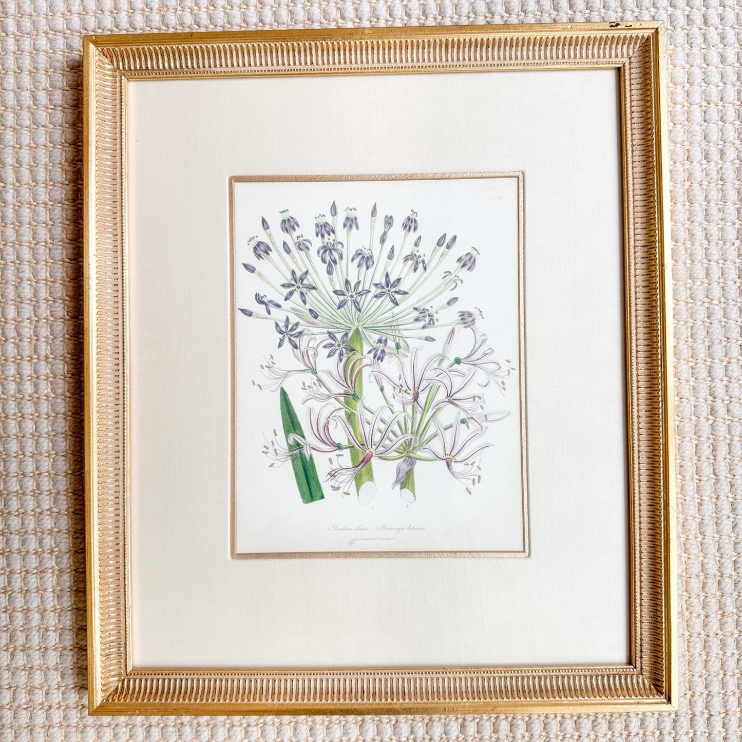 Framed Antique Floral Lithograph, c. 1840, Lady Loudon Flowers