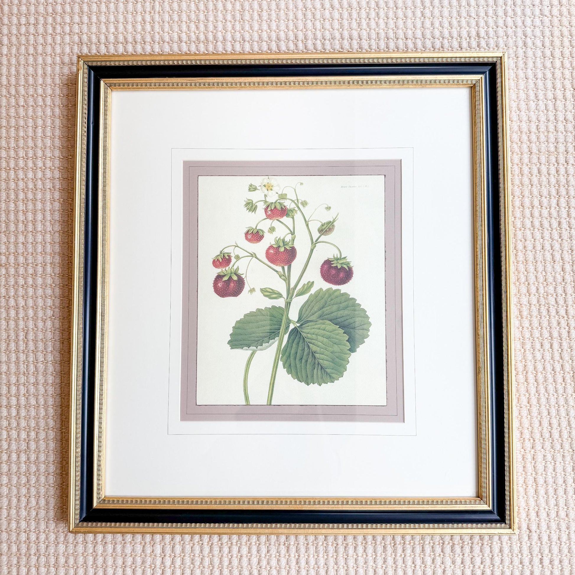 Framed Vintage Strawberry Lithograph, The Wild Strawberry