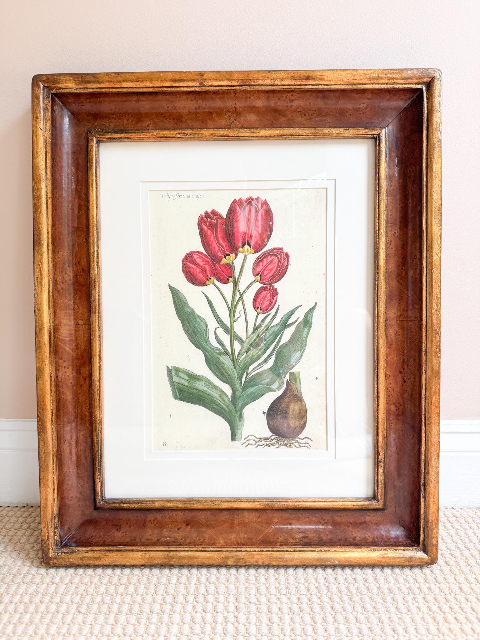 Framed Antique Floral Lithograph, c. 1800's, Red Tulips