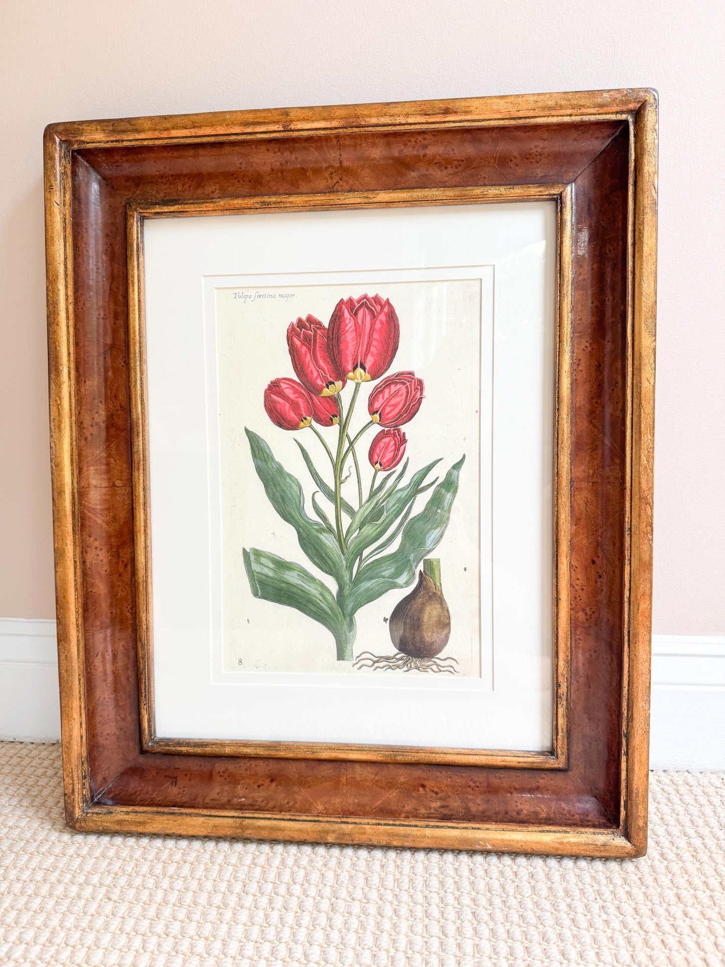 Framed Antique Floral Lithograph, c. 1800's, Red Tulips