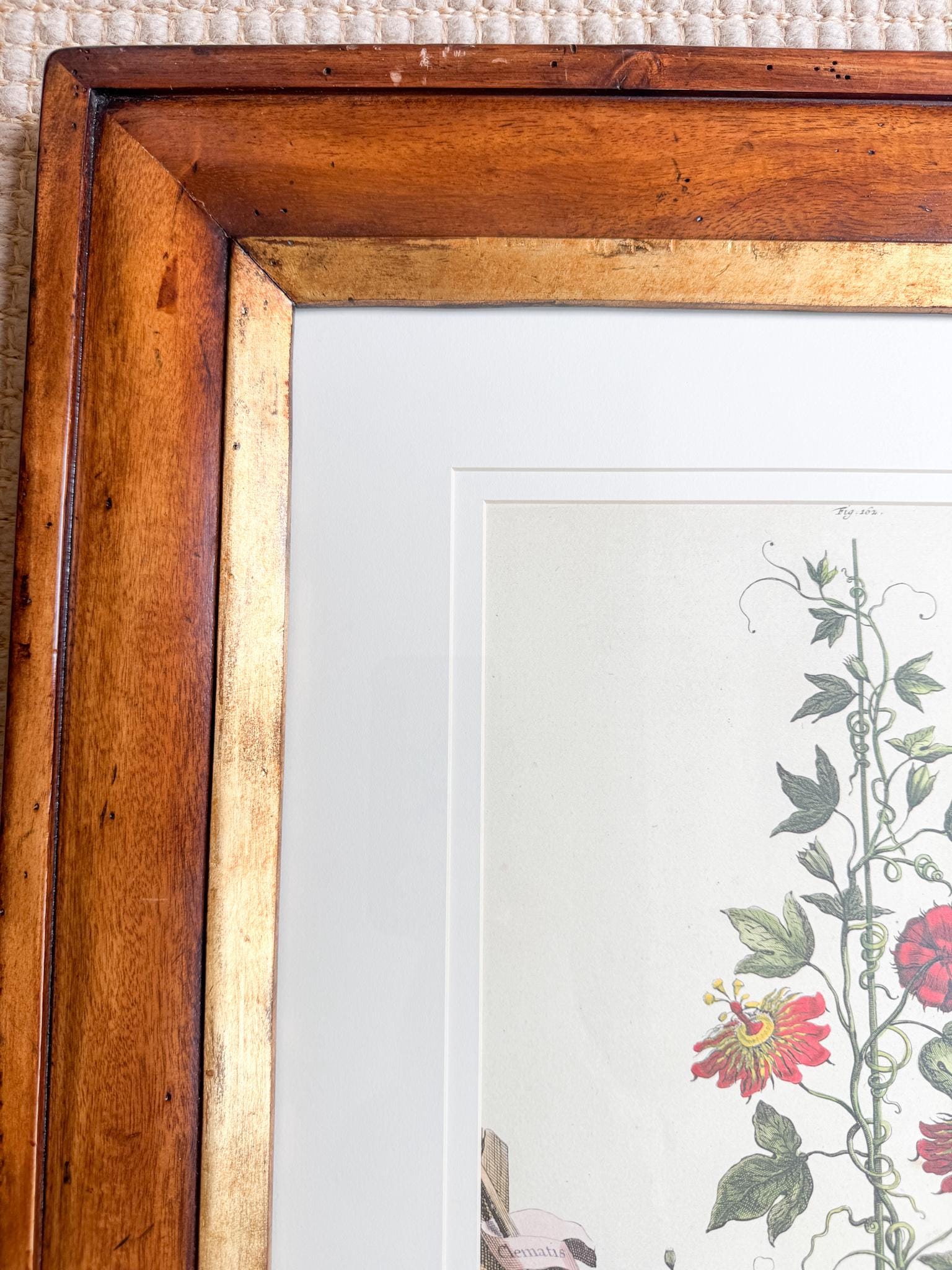 Framed Antique Floral Lithograph, c. 1700's, Red Passion Flower