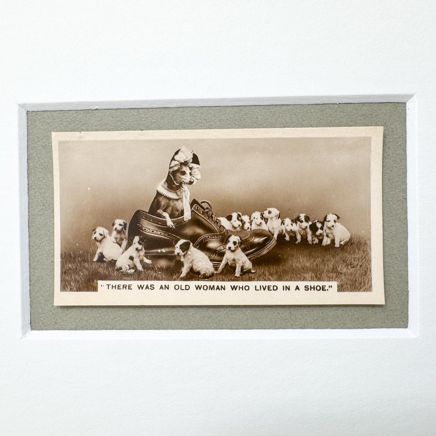 Framed Antique Dog Cigarette Card c. 1931, There Was An Old Woman Who Lived In A Shoe