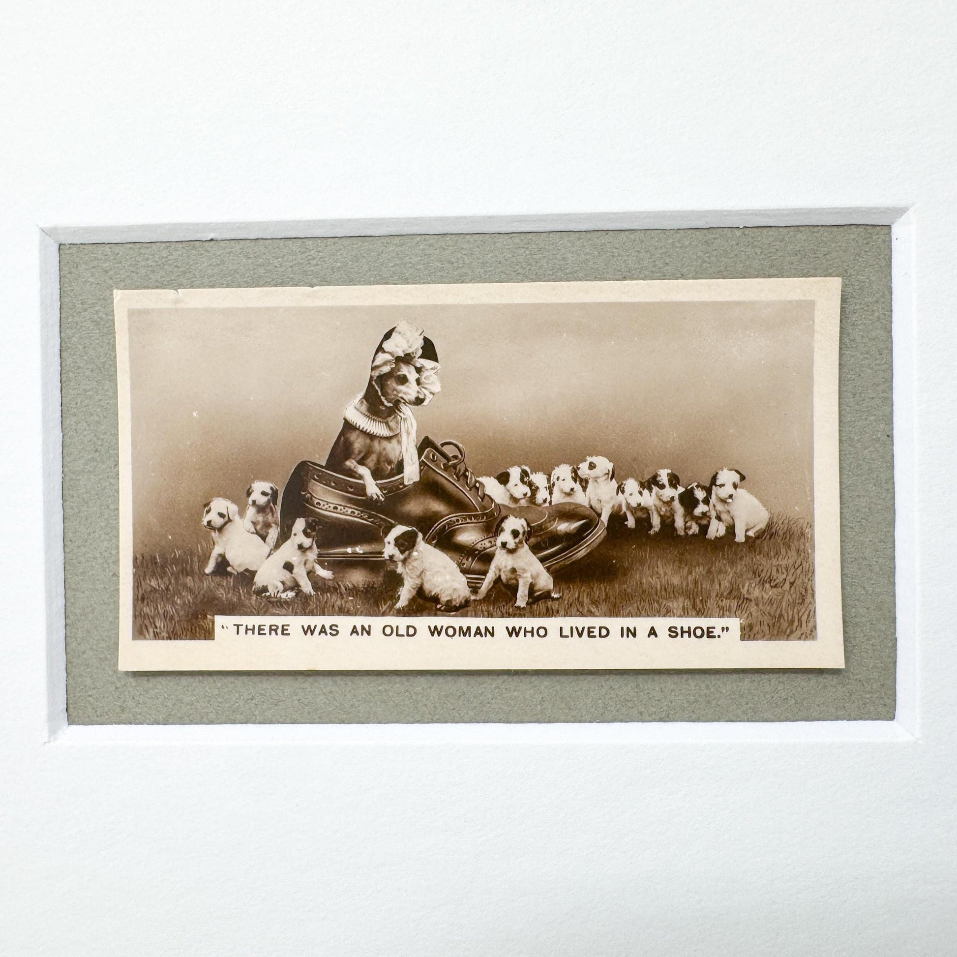 Framed Antique Dog Cigarette Card c. 1931, There Was An Old Woman Who Lived In A Shoe