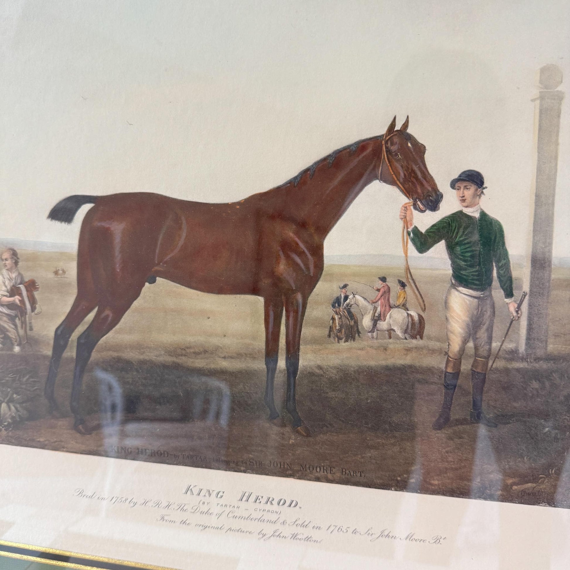Framed Antique Race Horse Lithograph, King Herod