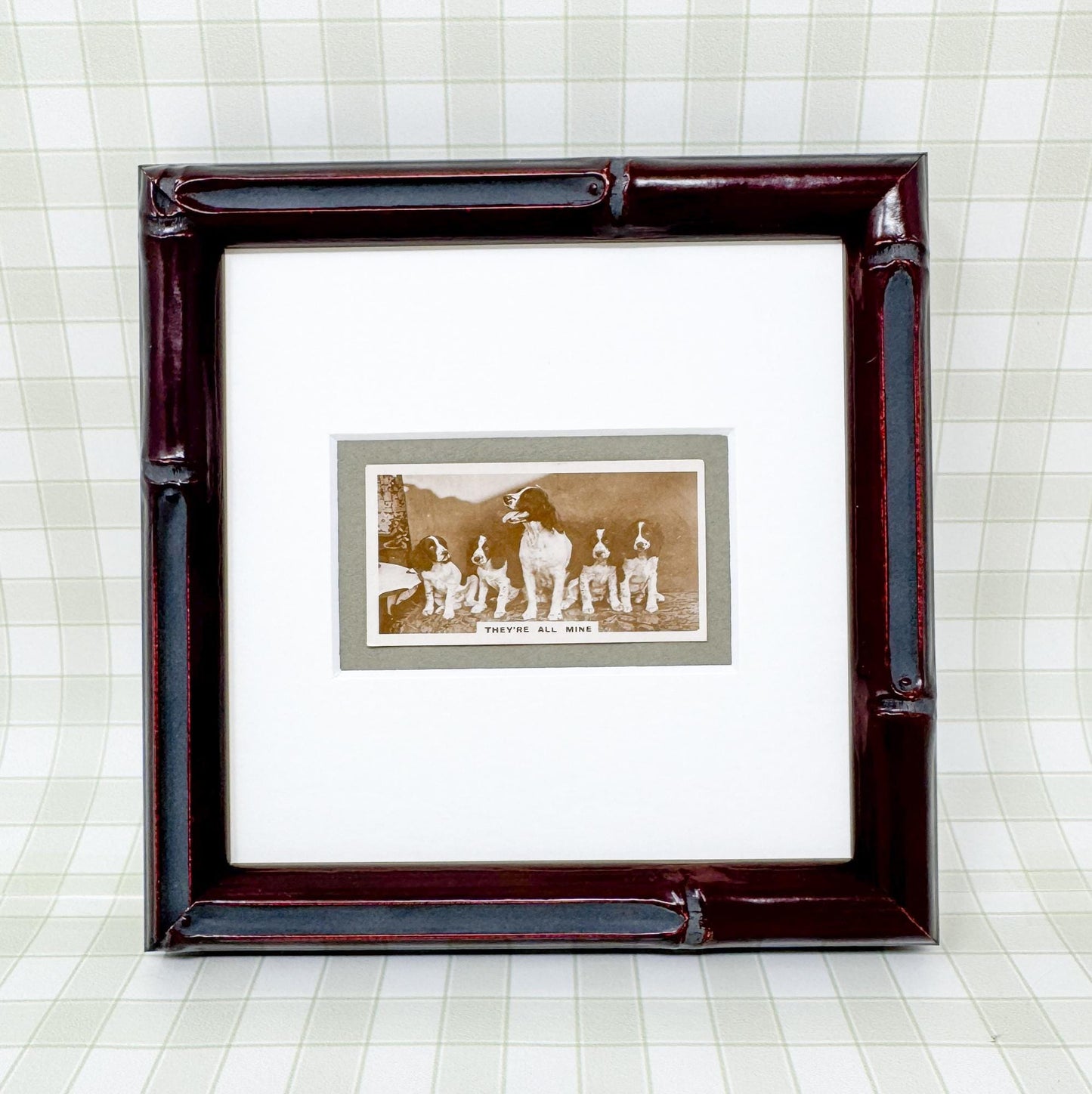 Framed Antique Dog Cigarette Card c. 1931, They're All Mine