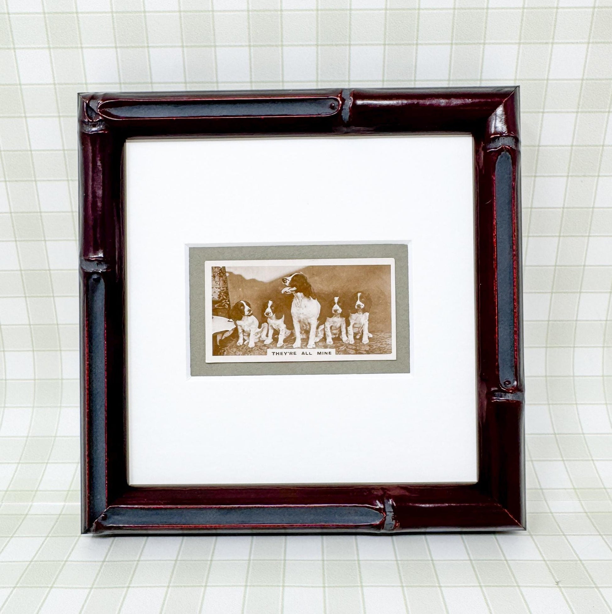 Framed Antique Dog Cigarette Card c. 1931, They're All Mine