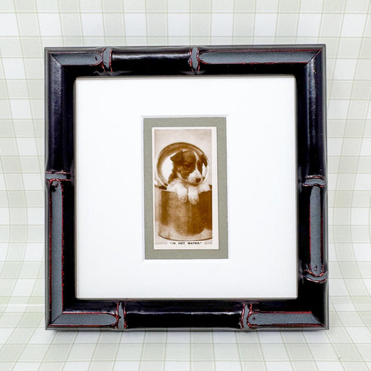 Framed Antique Dog Cigarette Card c. 1931, In Hot Water