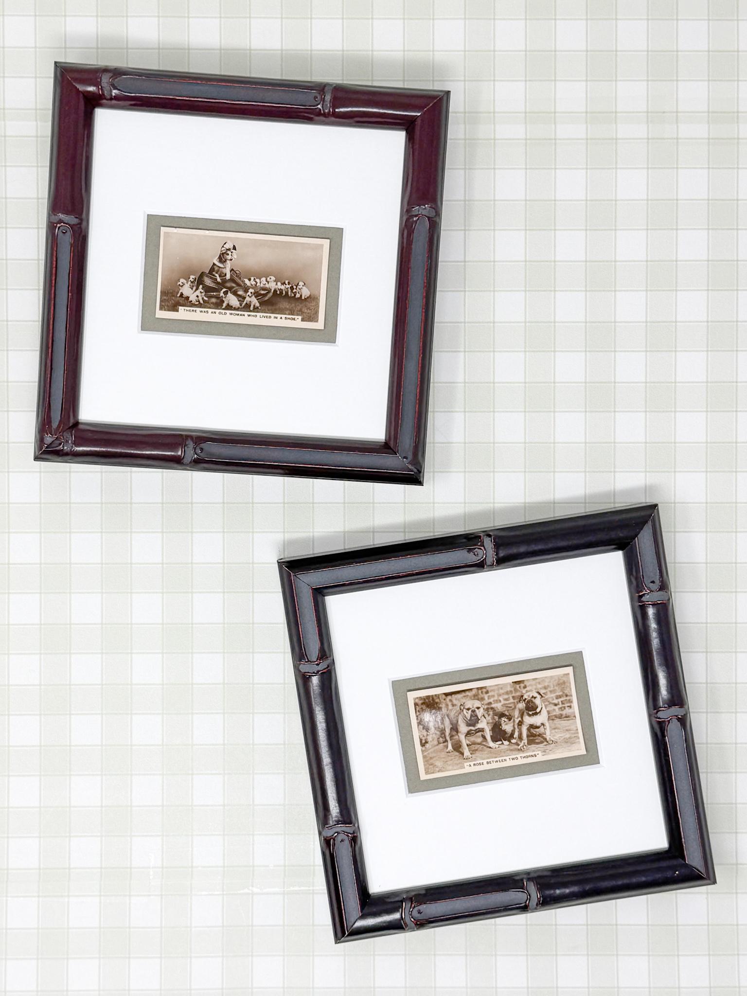 Framed Antique Dog Cigarette Card c. 1931, A Rose Between Two Thorns
