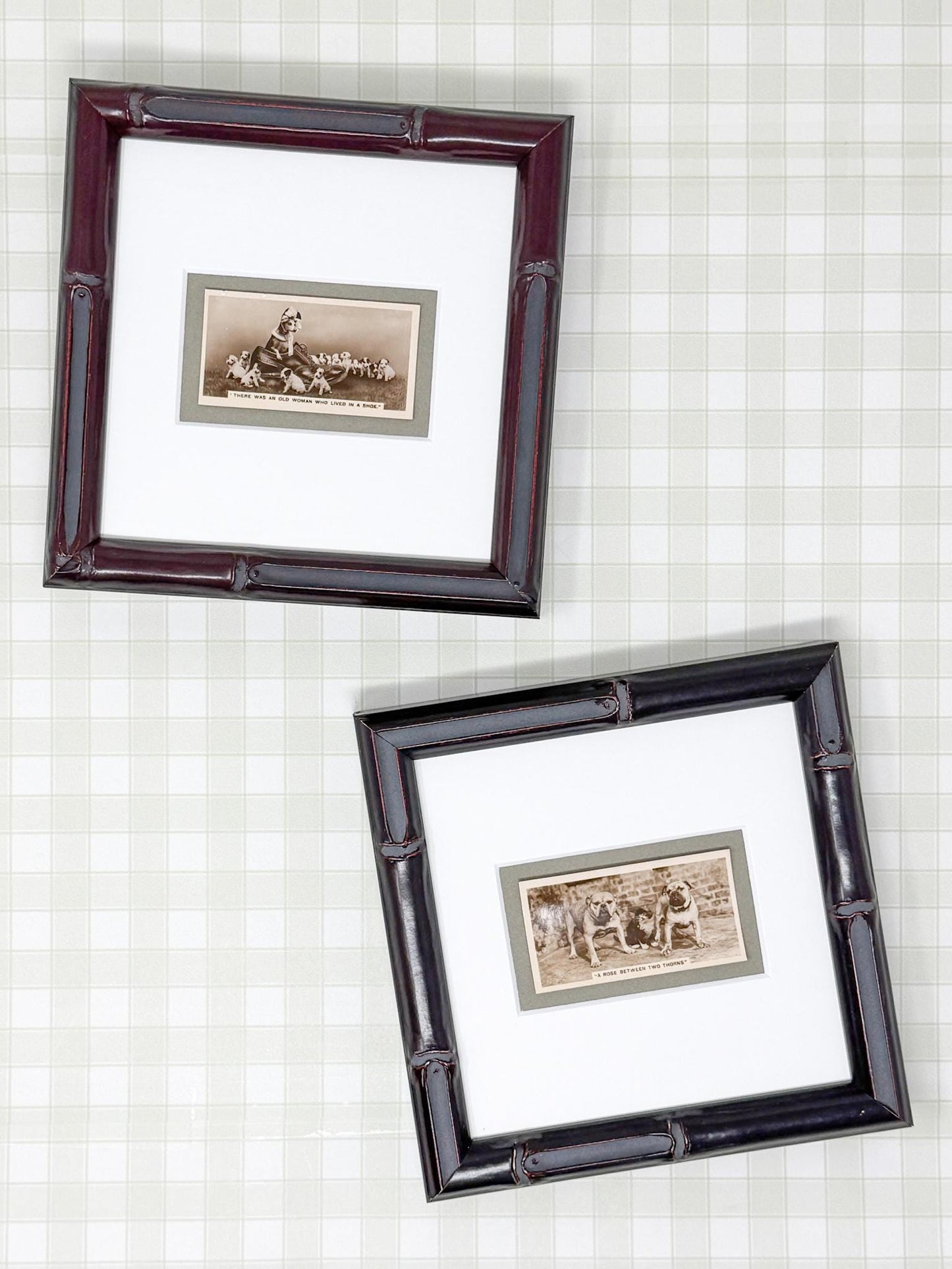 Framed Antique Dog Cigarette Card c. 1931, There Was An Old Woman Who Lived In A Shoe