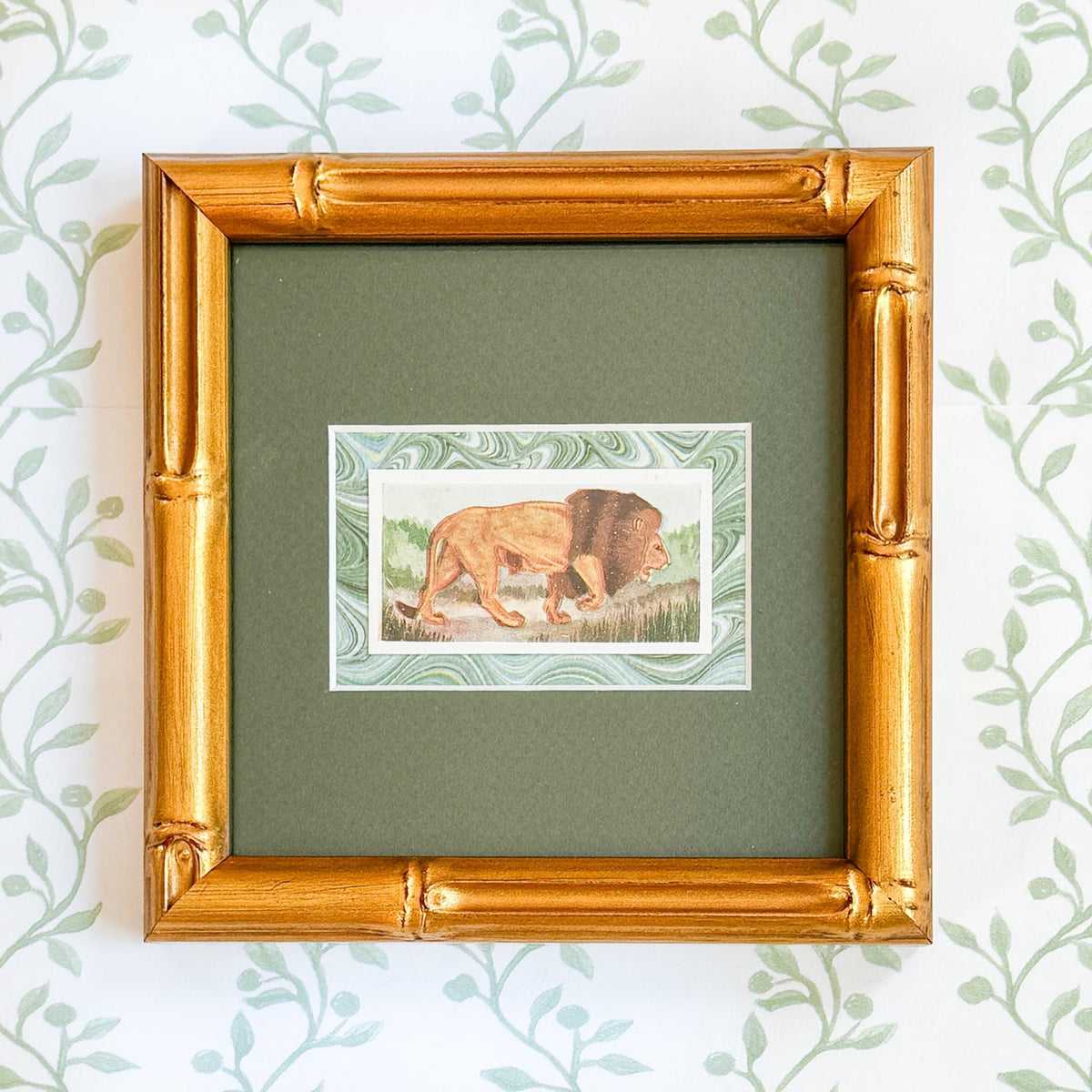Framed Vintage Cigarette Card c. 1954, Lion