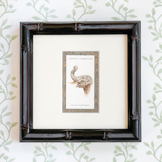 Framed Antique Cigarette Card c. 1931, African Elephant