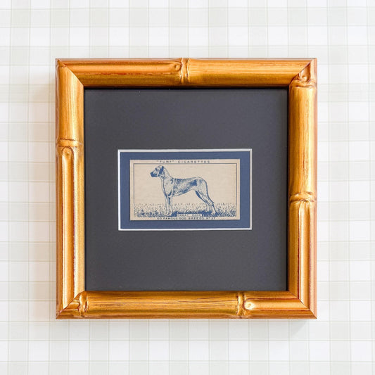 Framed Vintage Dog Cigarette Card c. 1952, Great Dane