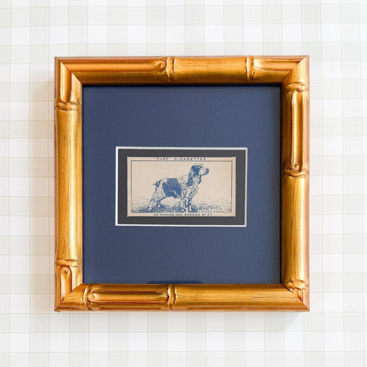 Framed Vintage Dog Cigarette Card c. 1952, Cocker Spaniel