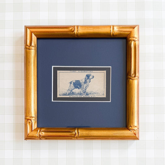 Framed Vintage Dog Cigarette Card c. 1952, Cocker Spaniel