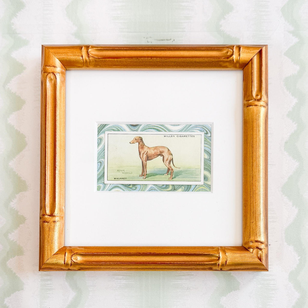 Framed Vintage Dog Cigarette Card c. 1937, Chow Chow