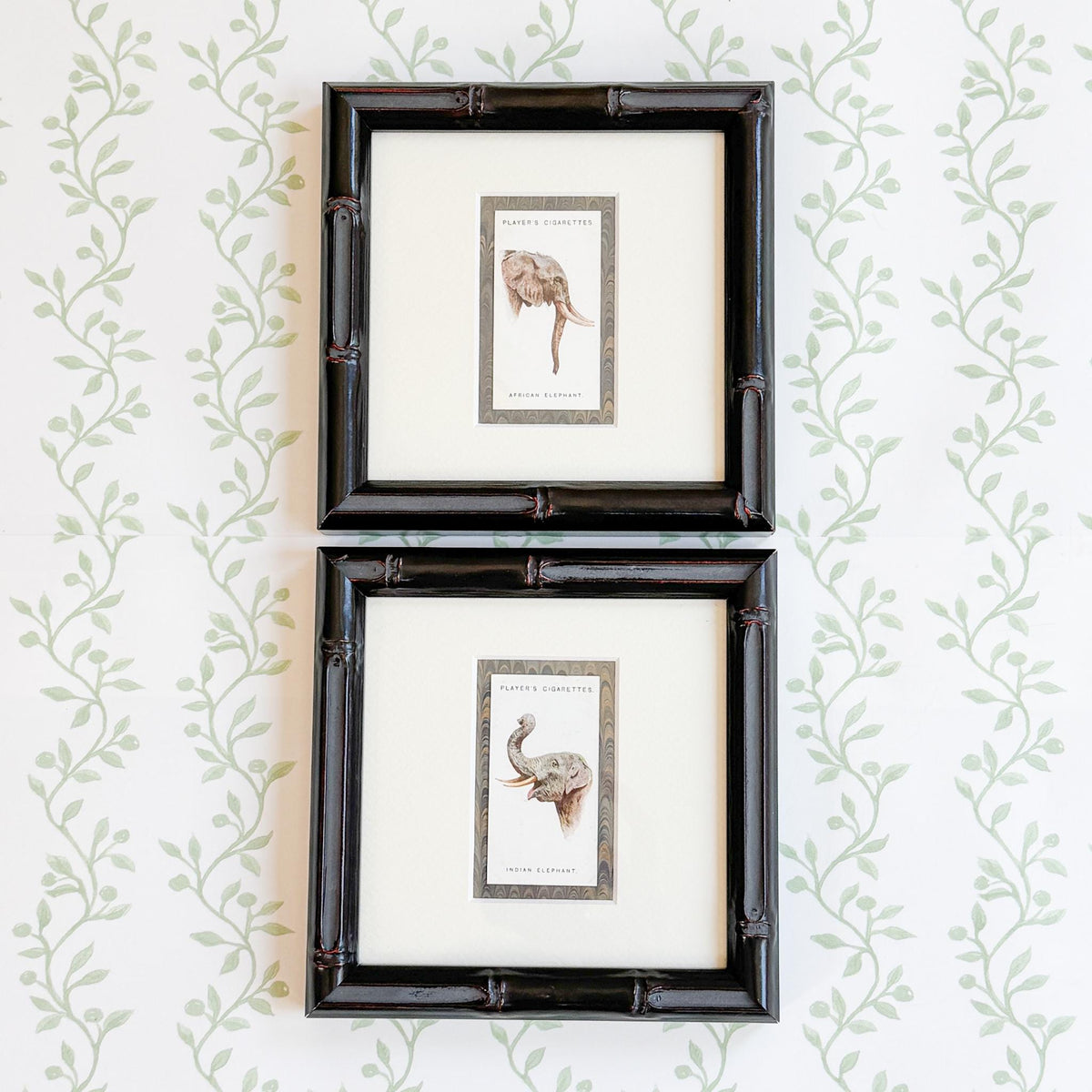 Framed Antique Cigarette Card c. 1931, African Elephant
