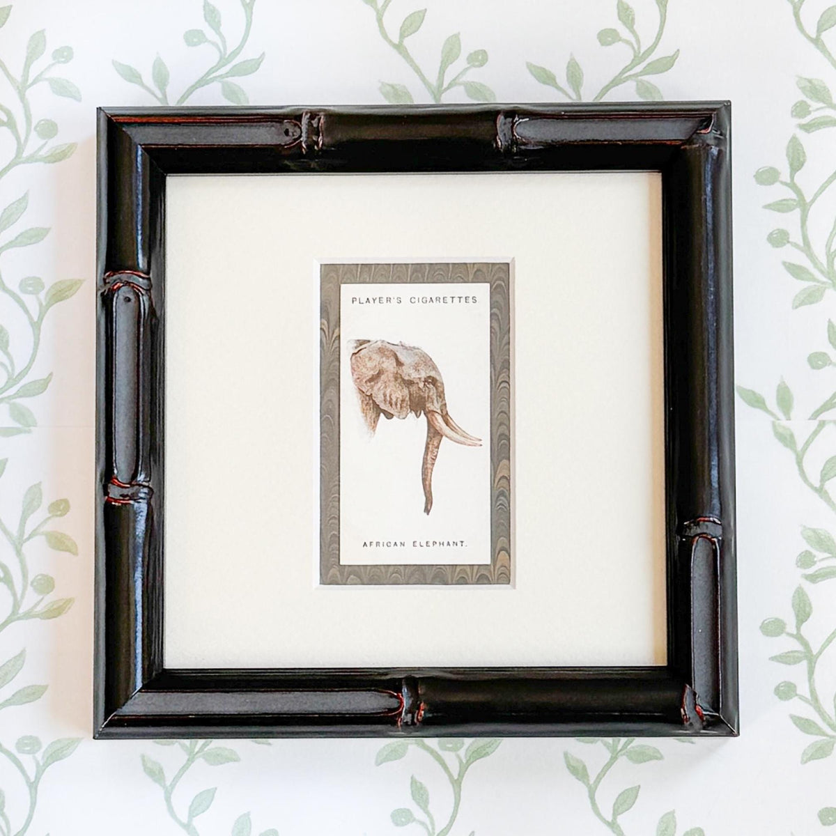 Framed Antique Cigarette Card c. 1931, African Elephant