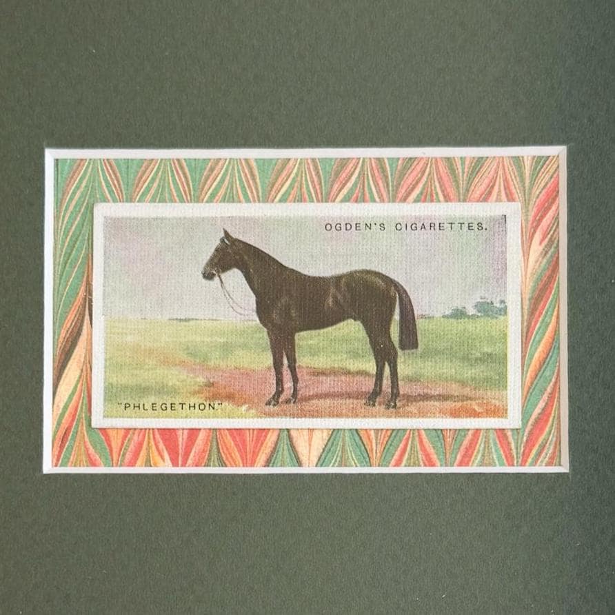 Framed Antique Race Horse Derby Cigarette Card c. 1928, Phlegethon
