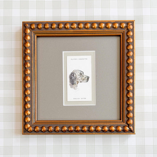 Framed Antique Dog Cigarette Card c. 1929, English Setter