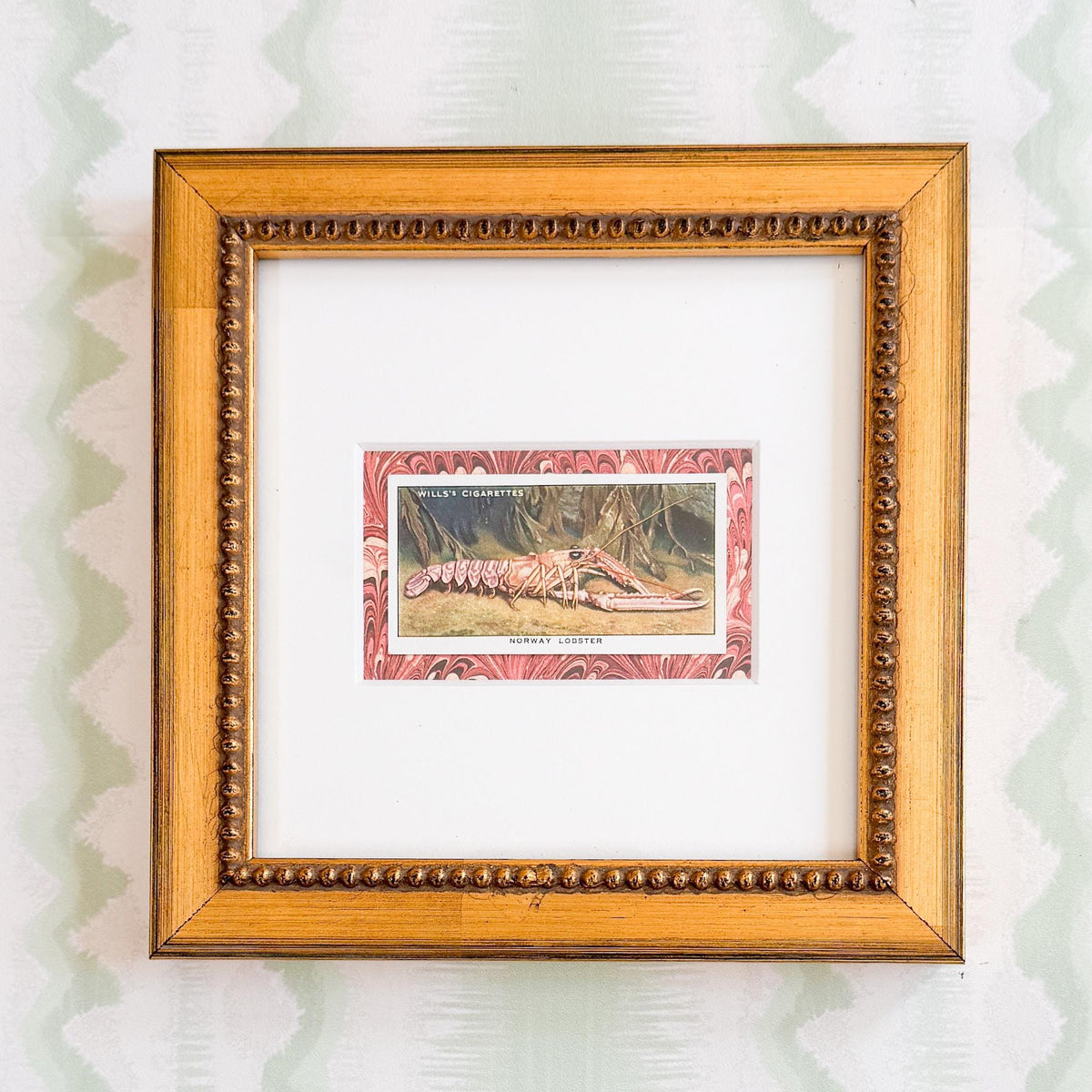 Framed Vintage Sea Life Cigarette Card, Norway Lobster