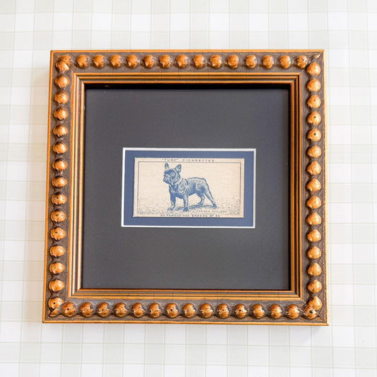 Framed Vintage Dog Cigarette Card c. 1952, French Bulldog