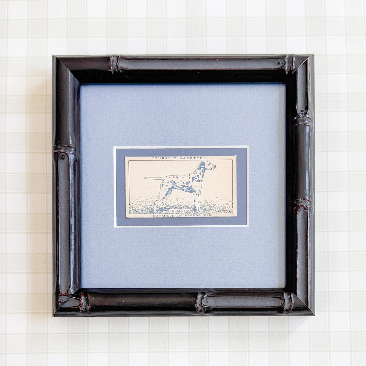 Framed Vintage Dog Cigarette Card c. 1952, Dalmatian