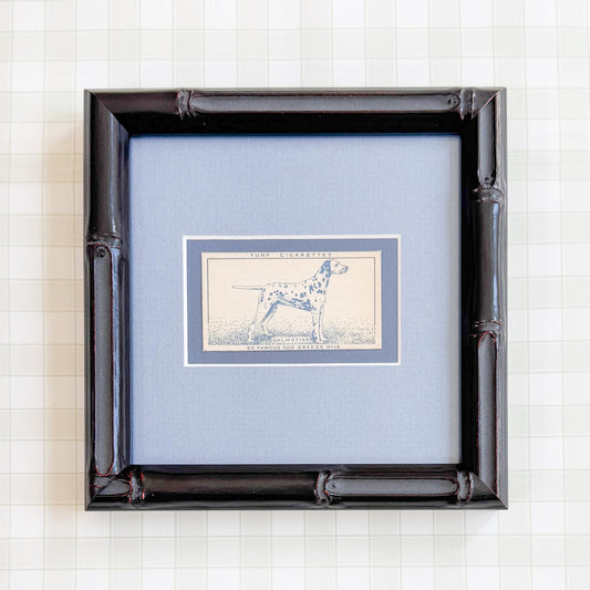 Framed Vintage Dog Cigarette Card c. 1952, Dalmatian