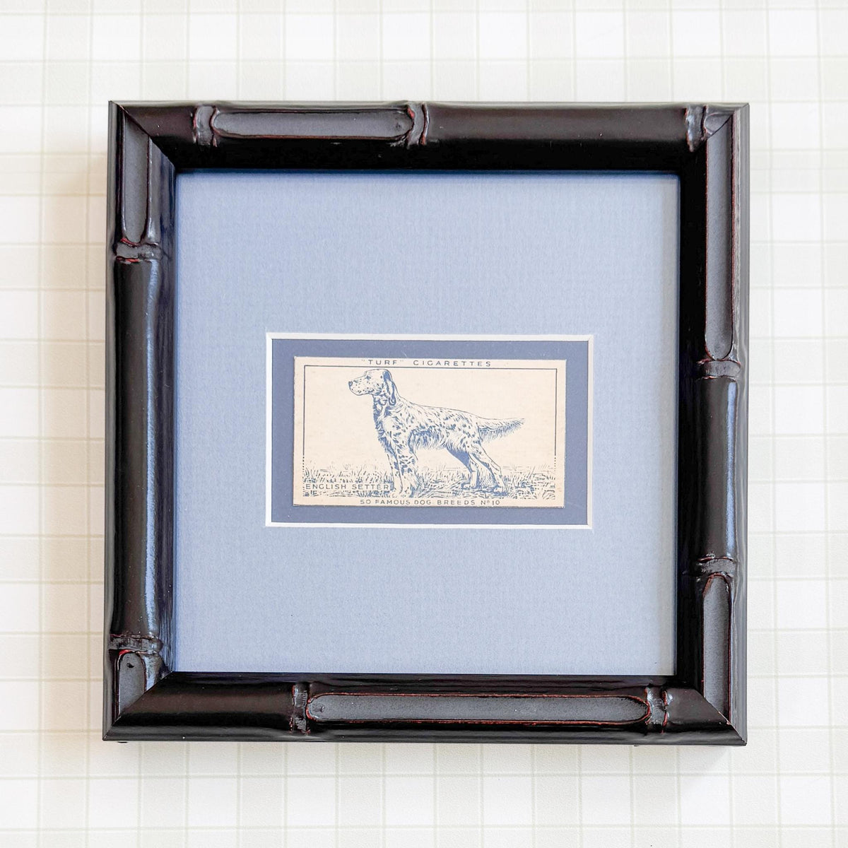 Framed Vintage Dog Cigarette Card c. 1952, English Setter