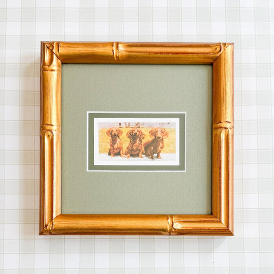 Framed Vintage Dog Cigarette Card, Long Hair Dachshund