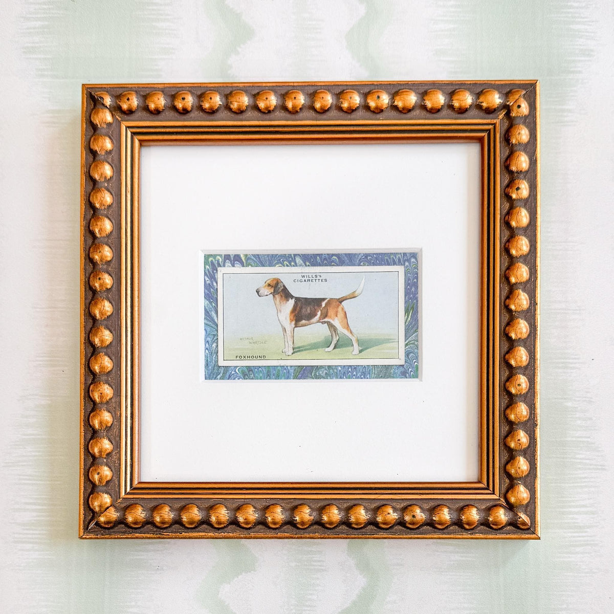 Framed Vintage Dog Cigarette Card c. 1937, Foxhound